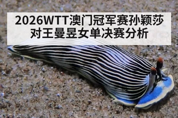 2026WTT澳门冠军赛孙颖莎对王曼昱女单决赛分析